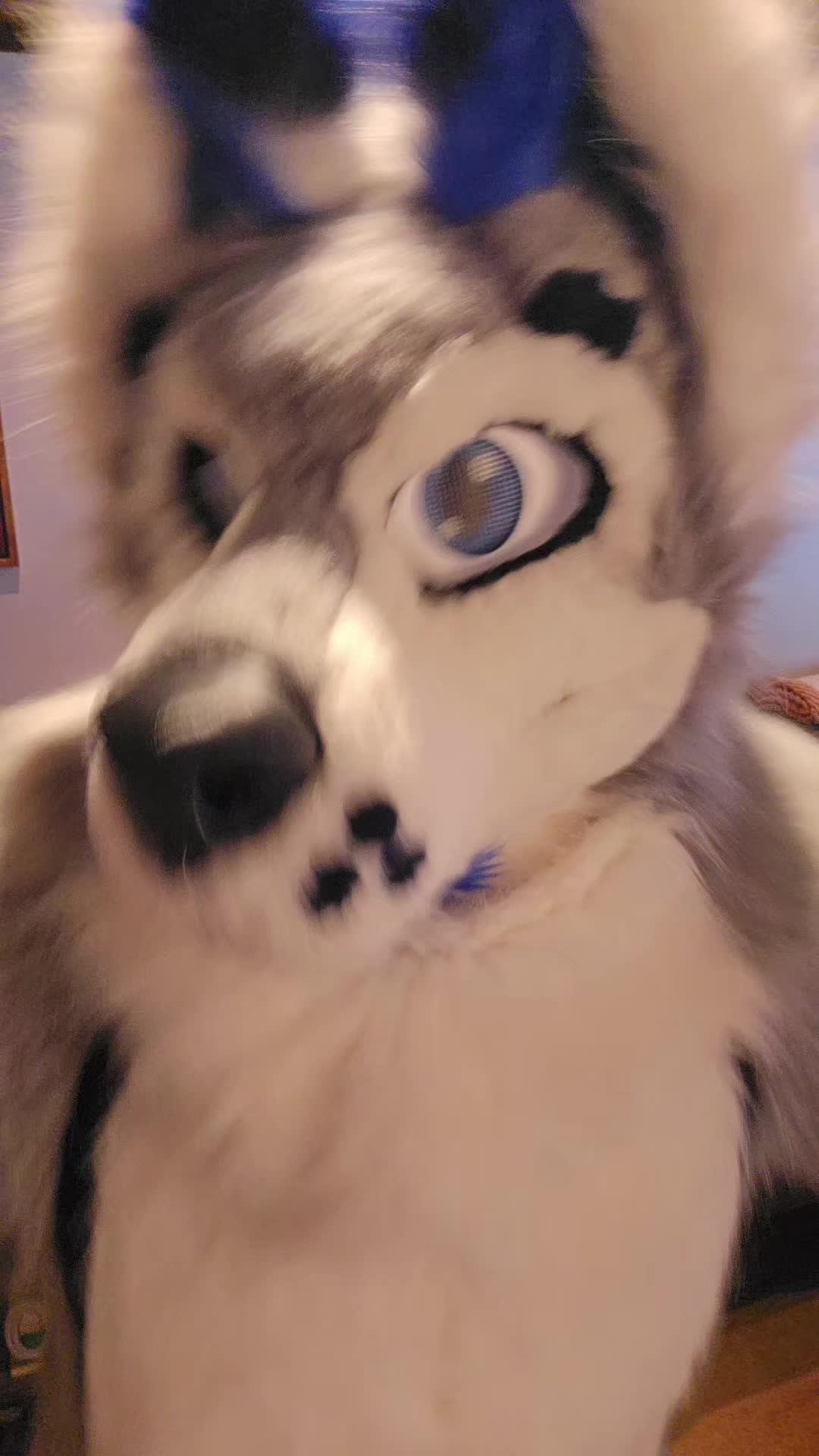 @muttsi
