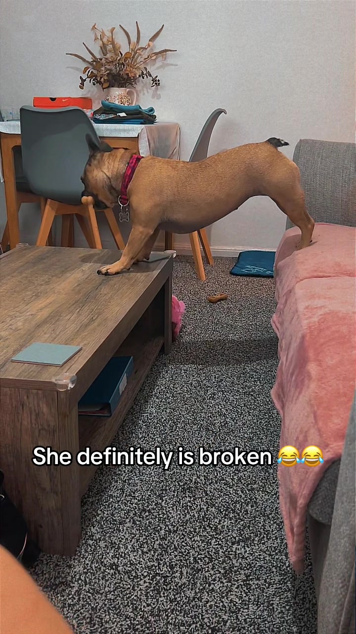 @katie