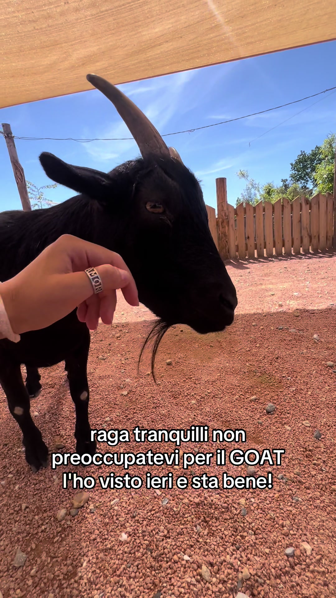 @N I K I 🥰🤗
