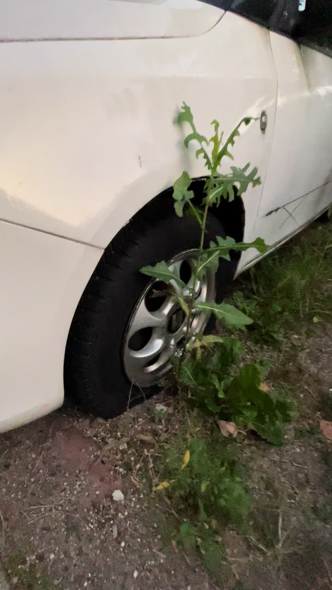 @ForgottenWheels