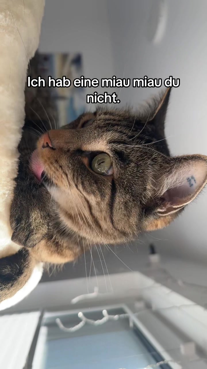 @Happykittycats_