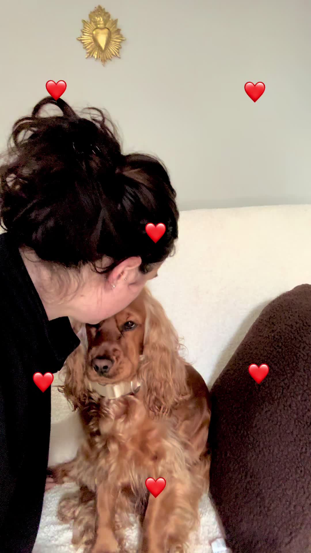 @🌸🐶Pamela Cocker Spaniel🐶🌸