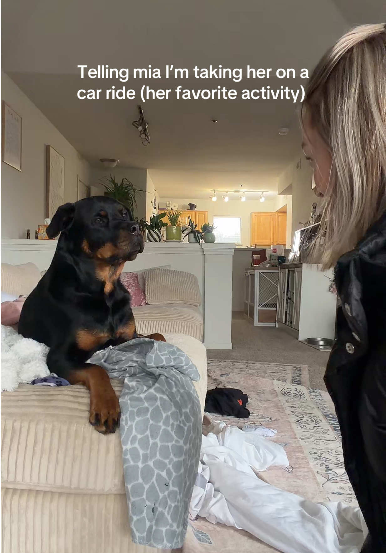 @Mia the Rottie