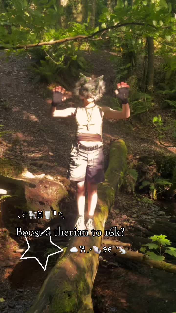 @─˚⊹🌿﹕ 𝙾𝚛𝚌𝚑𝚒𝚍 ﹕˖˚