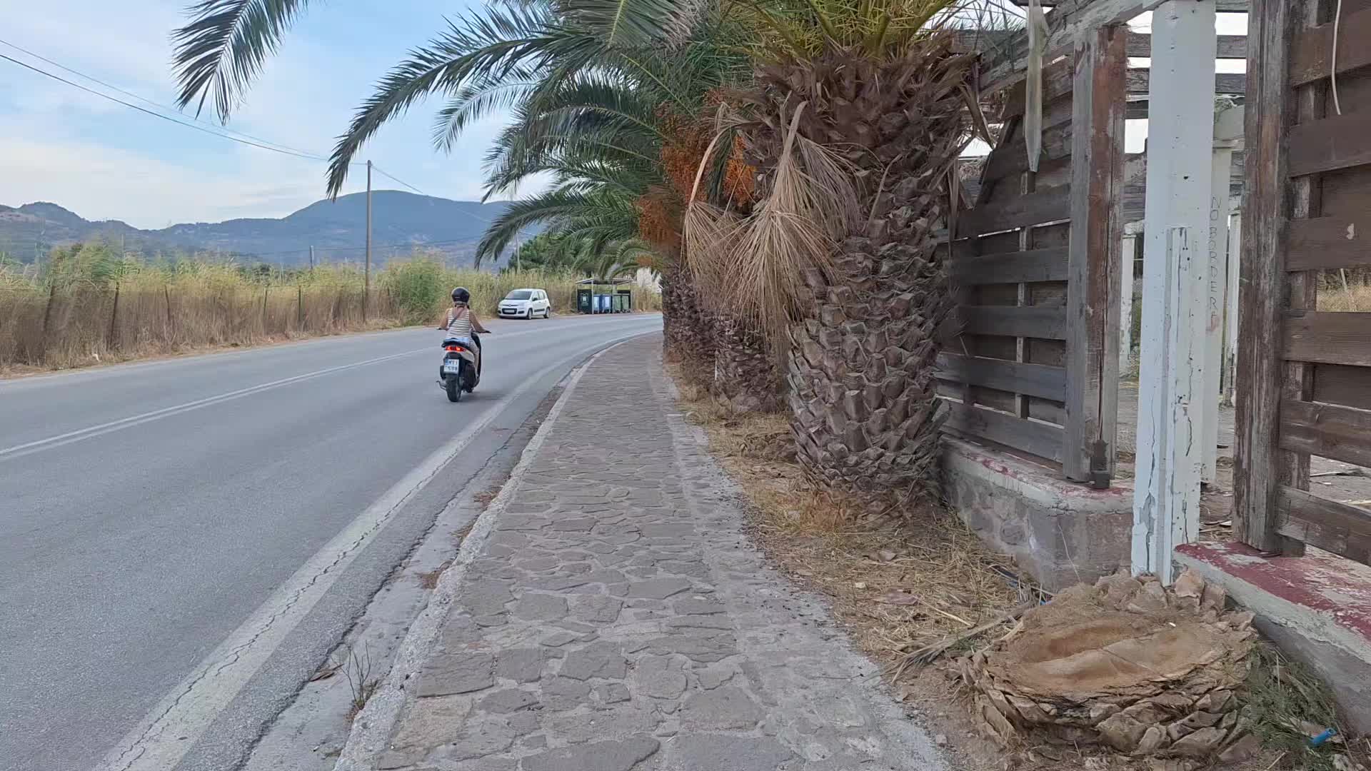 @rene eveleens tiktok