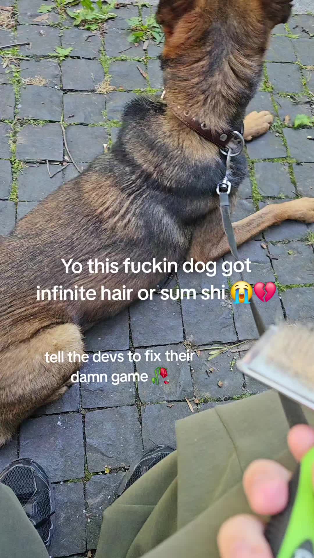@MrggTV