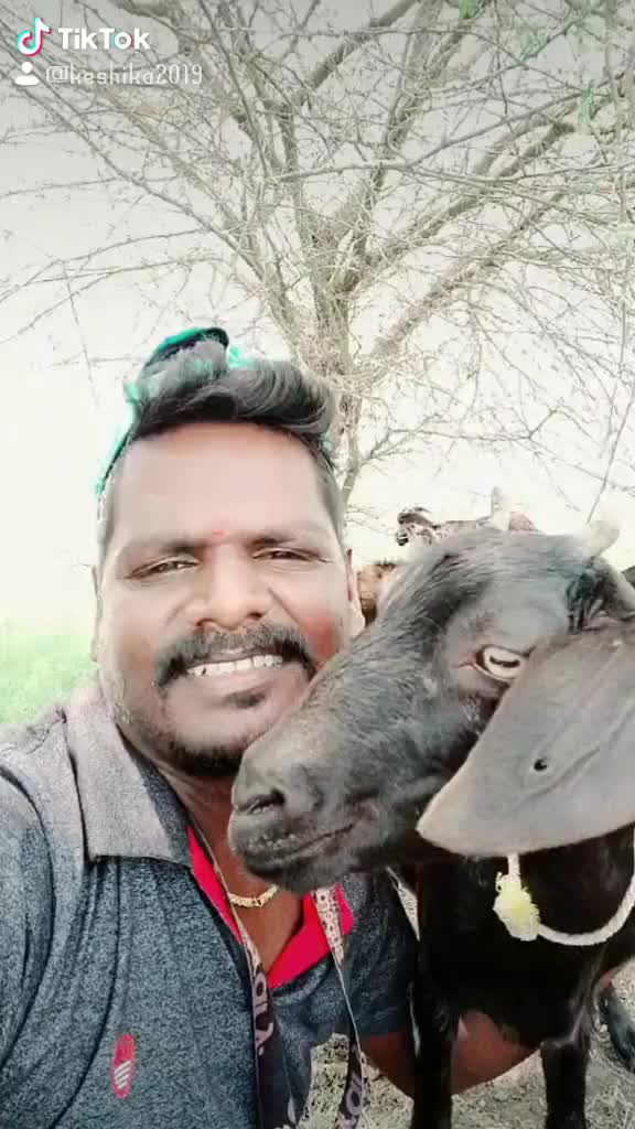 @மிரட்டல் நாயகன் ⚔️🇭🇹🇭🇹⚔️