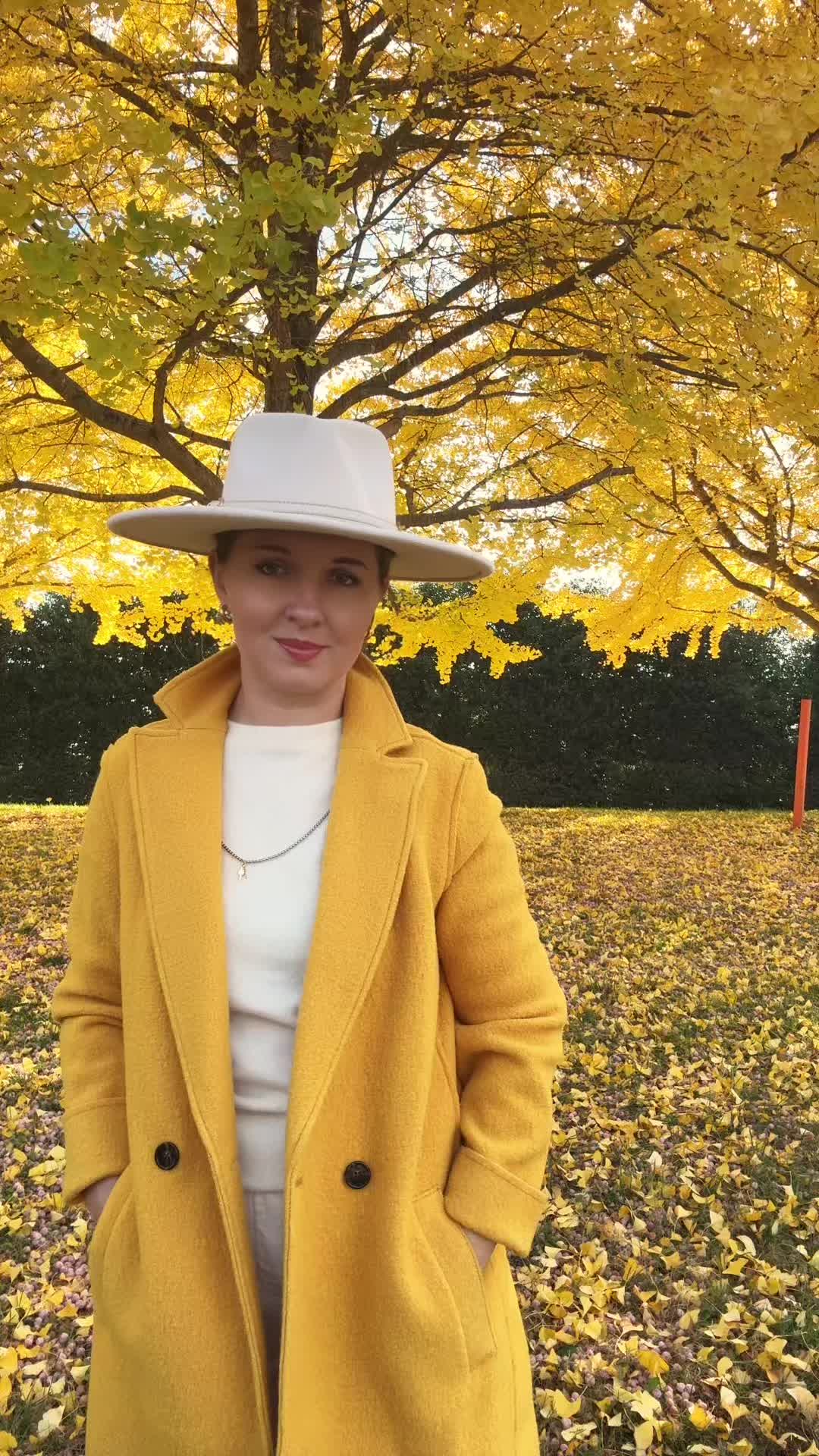 @Moxistyle
