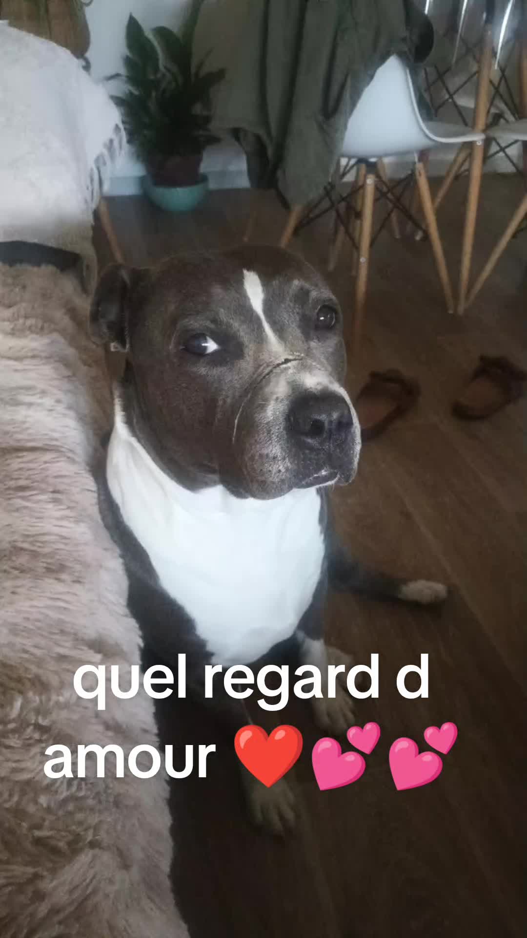 @Mireillevolletber