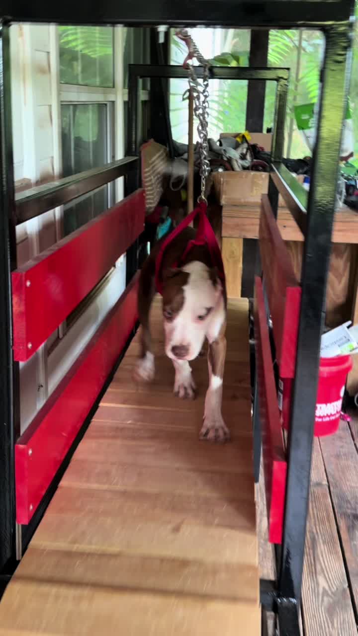 @WorldGoneMadKennels