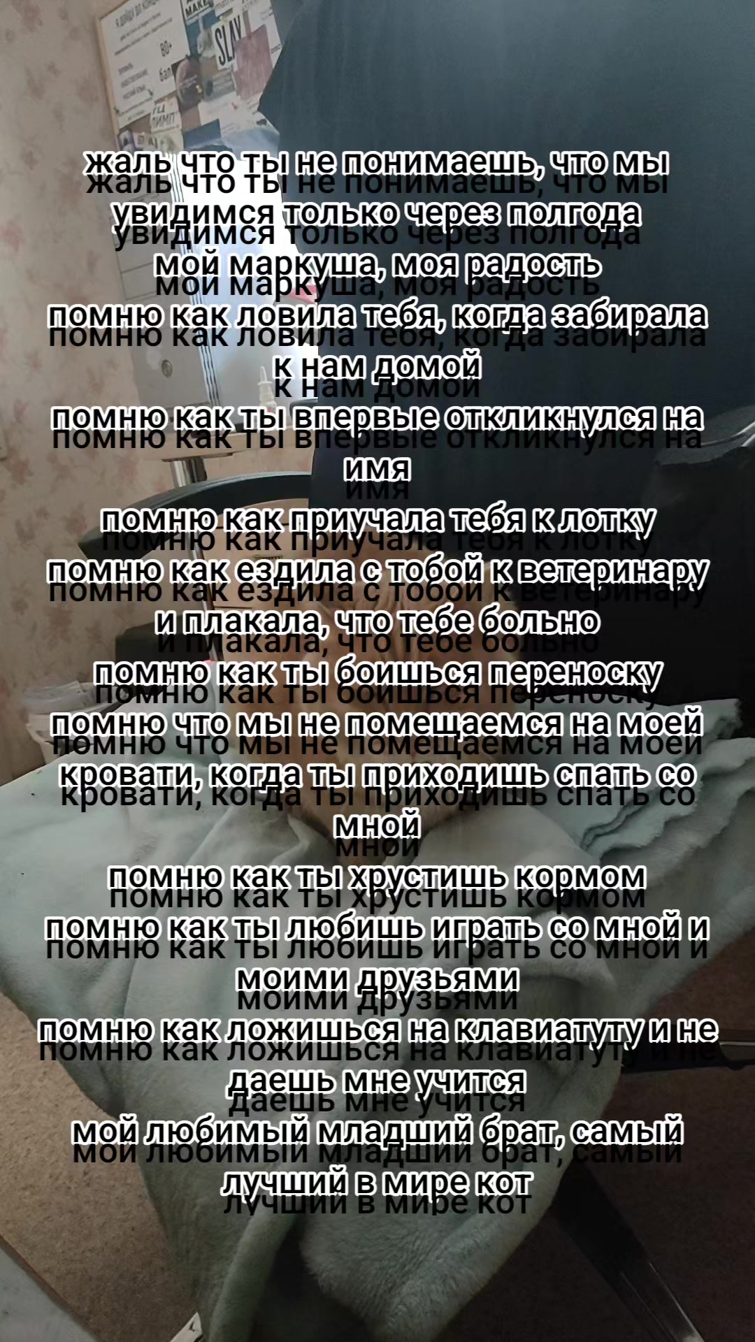 @софа
