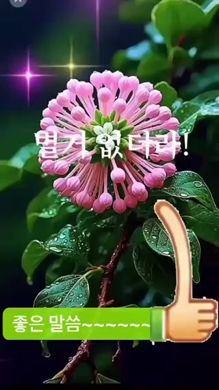 @์์๊ฝ๐ธํ์ฐ๐