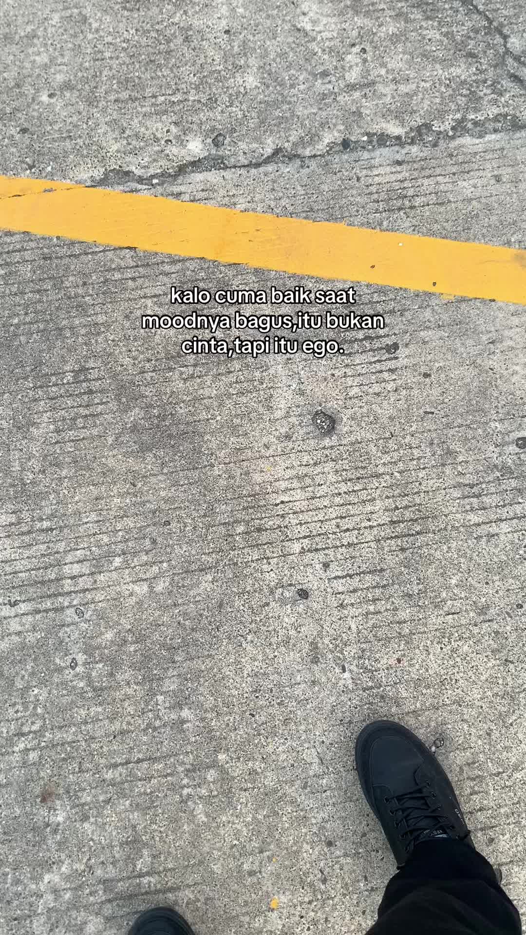 @🐼