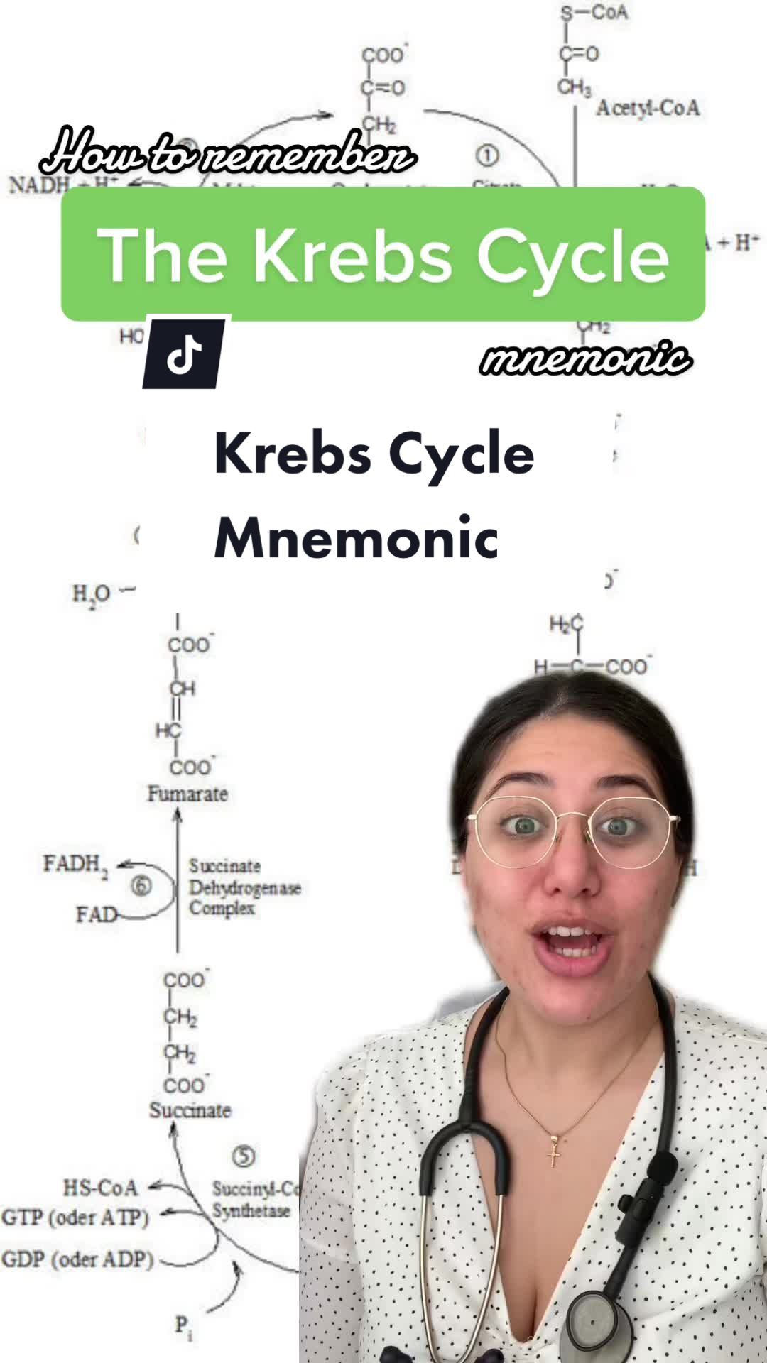 How to remember the Krebs Cycle using | Dr. Christina | OrganizedMedic ...