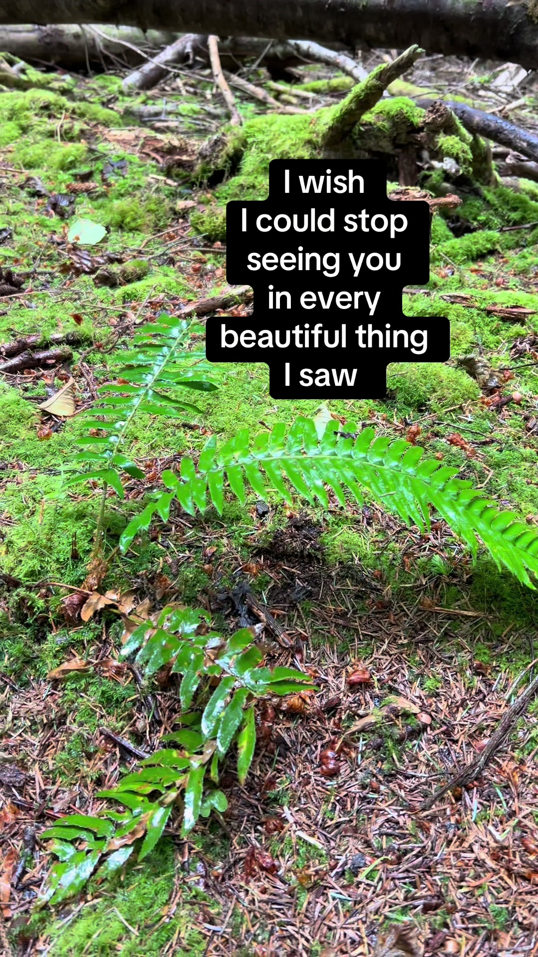 @Rebecca💛