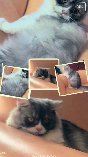 @🐱w!ne 🪺