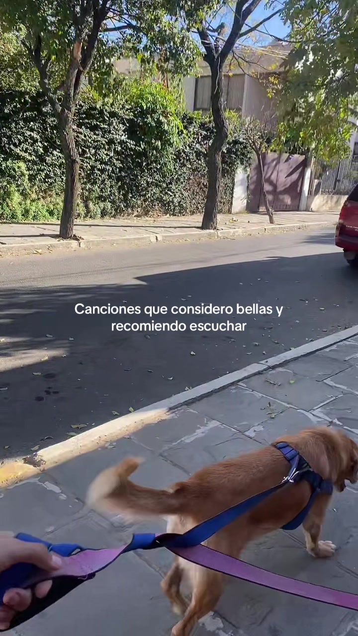 @canciónes que no conocias