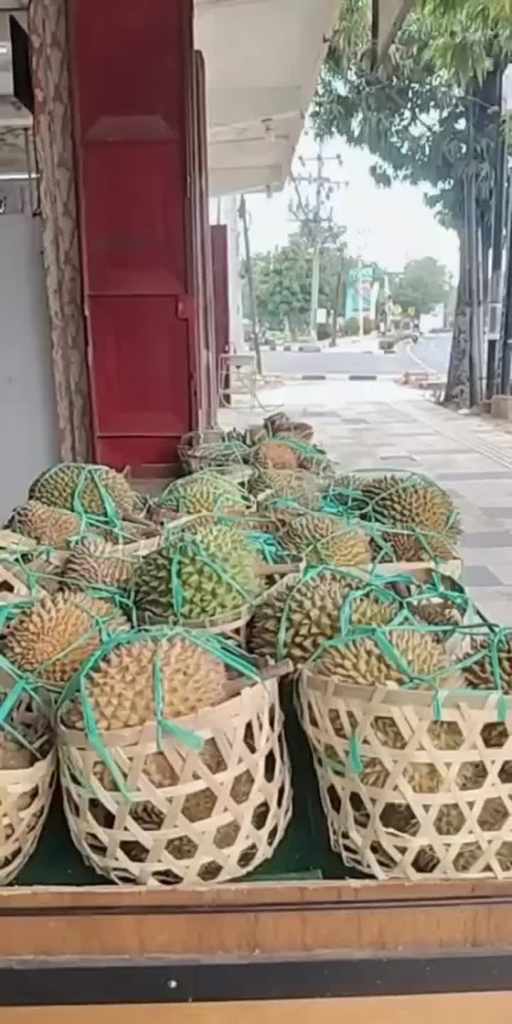 @Kenzhi Durian Tuban