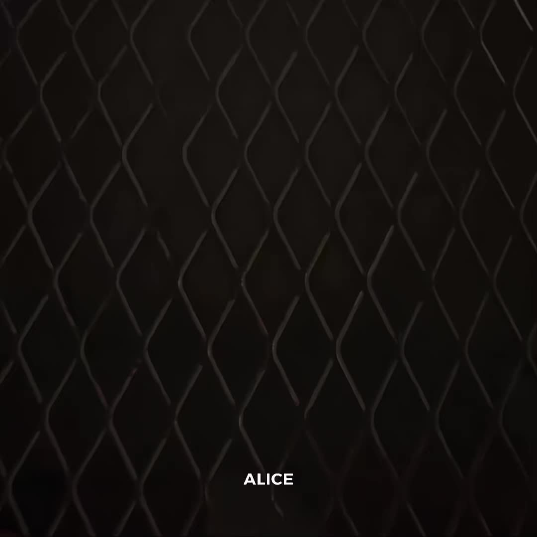 @alice