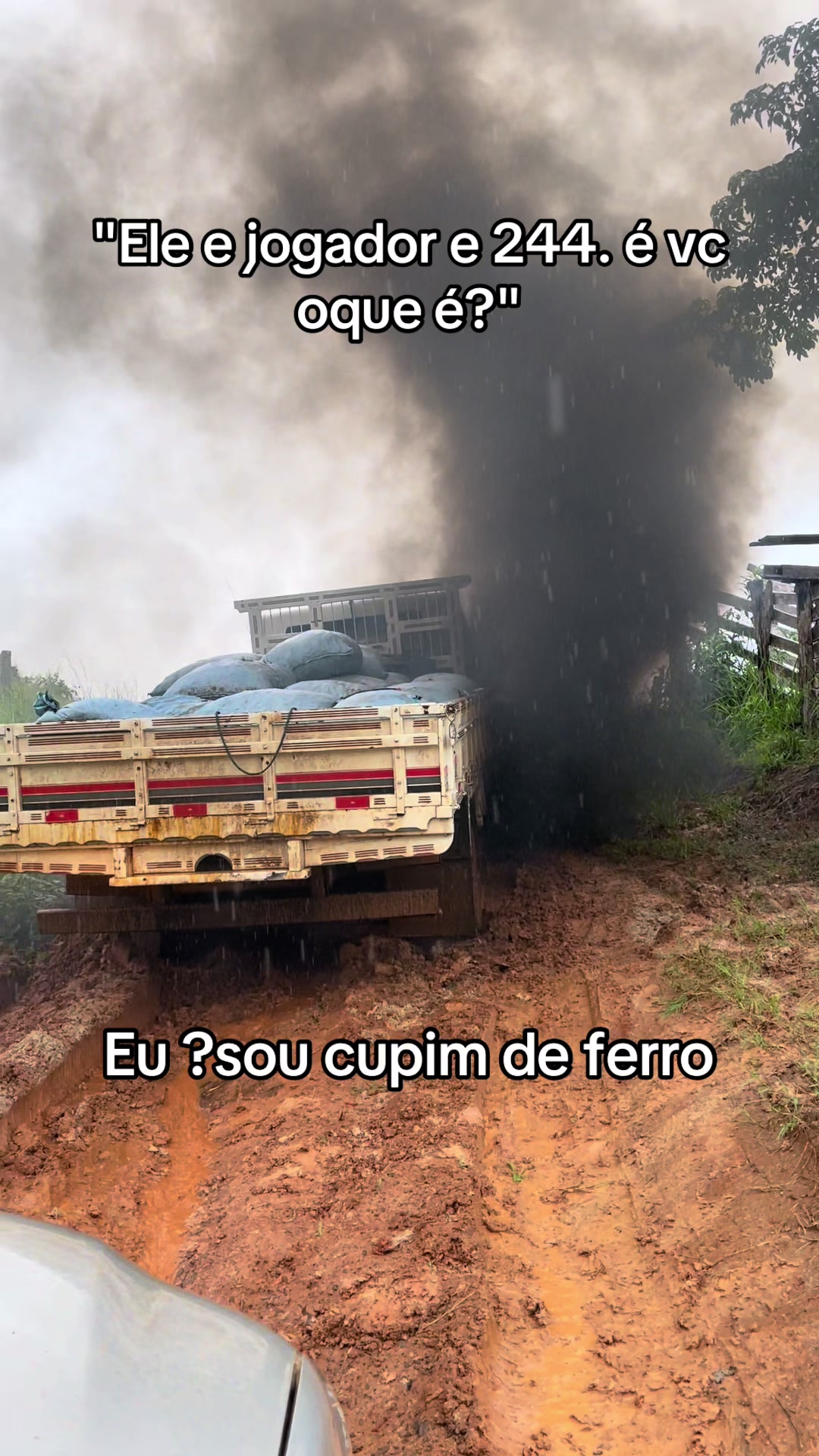 @João Victor Silva