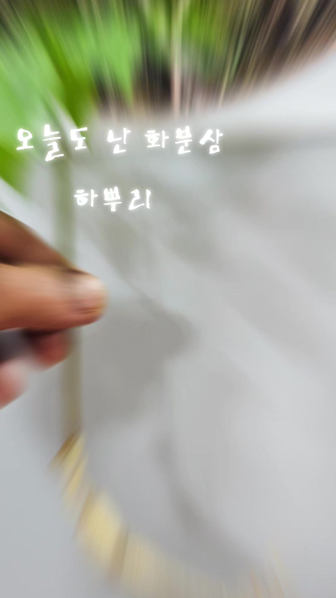 @🦜막끌리네🦜