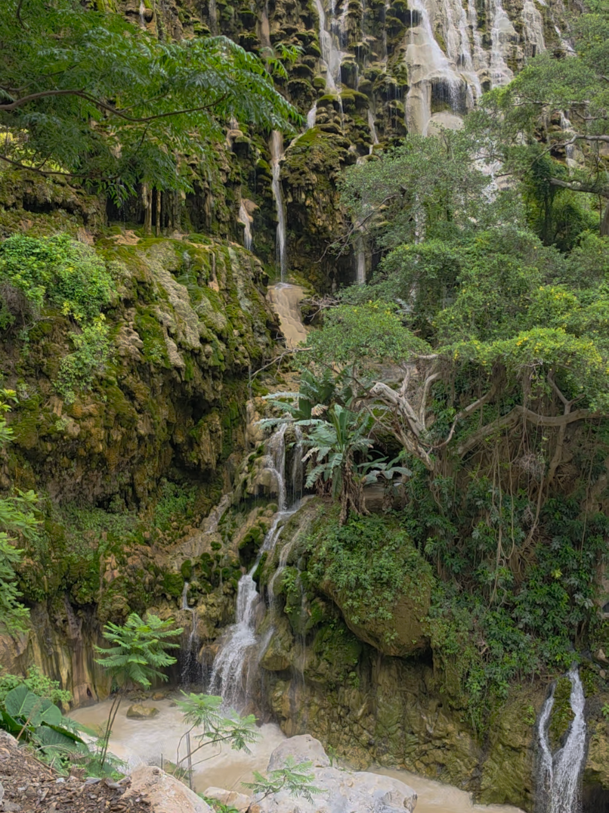 @Paradise
