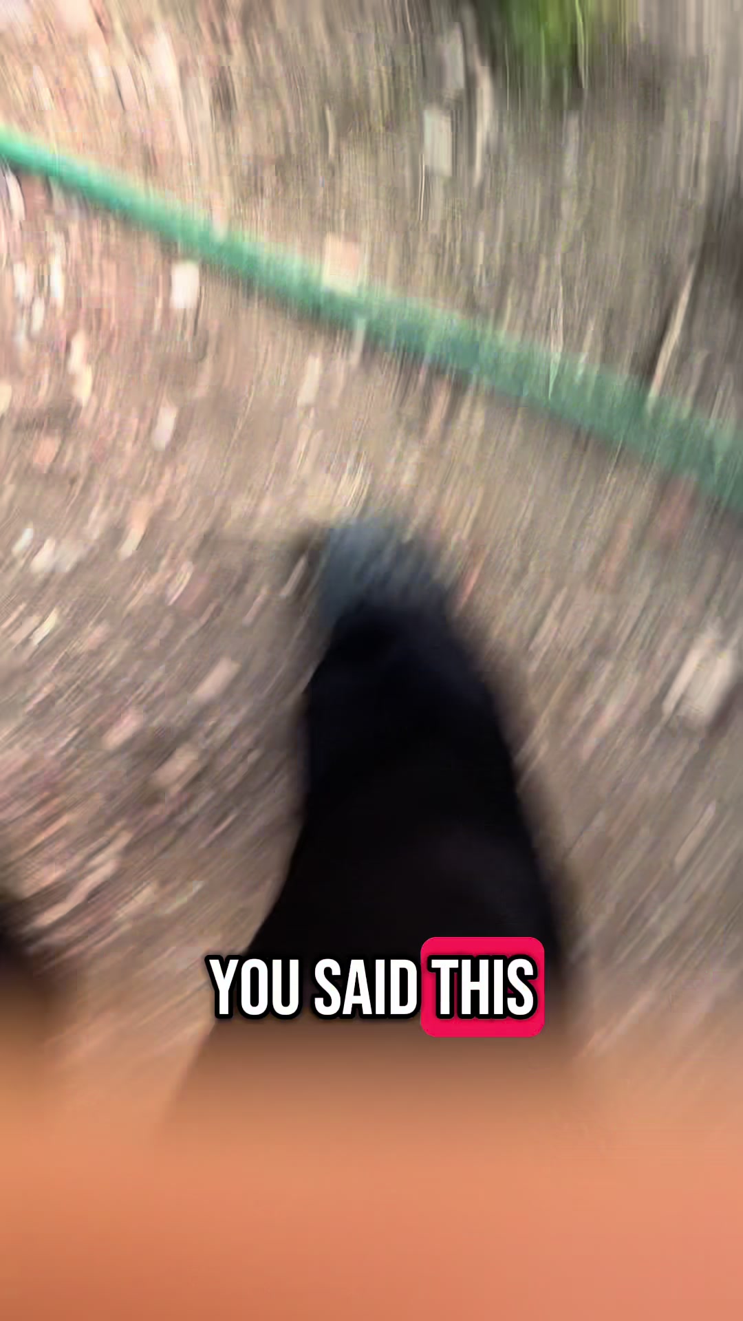 @Haiden Martinez