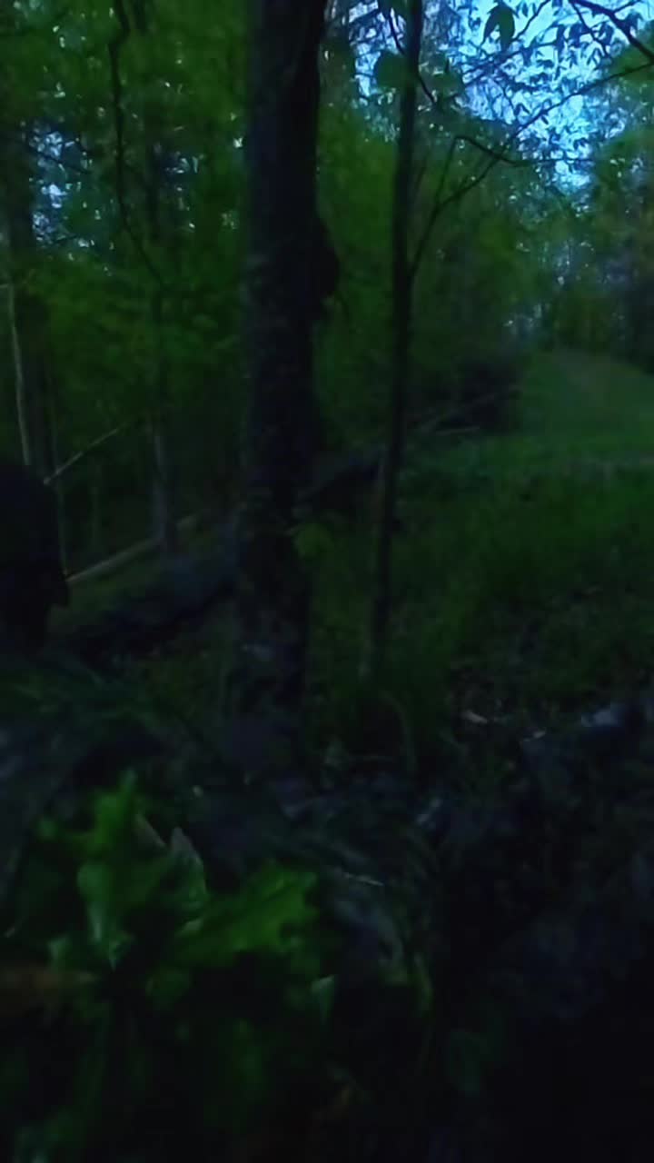 @STUBBYS OUTDOORS