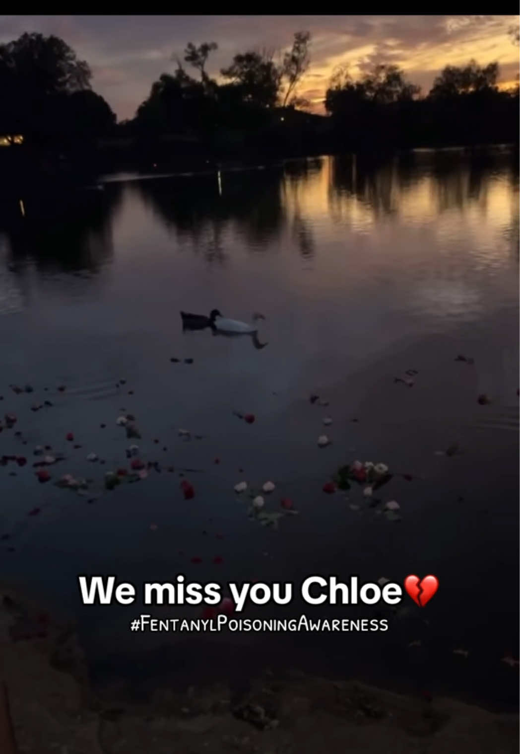 @Love, Chloe Ann
