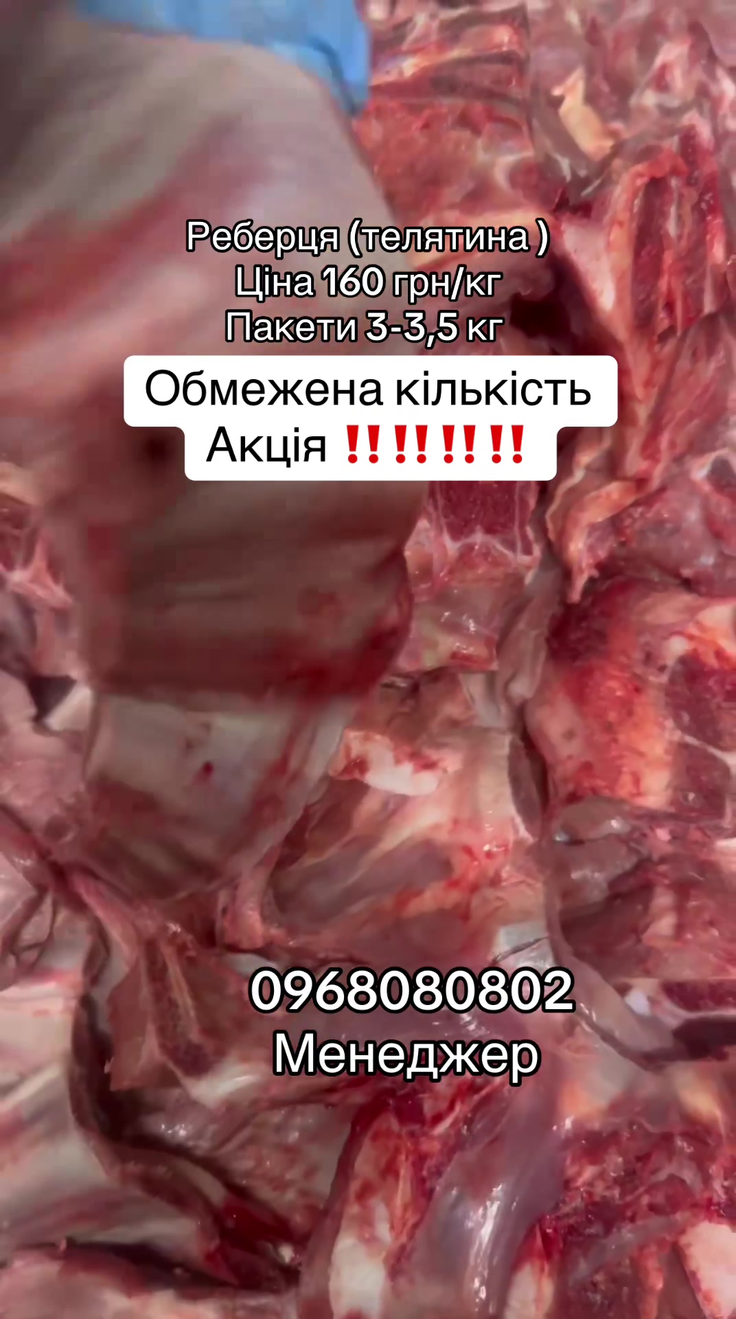 @msmakoluku