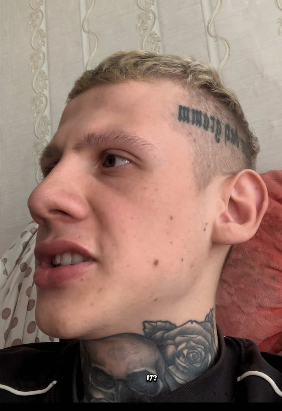 @dovodishdoslez