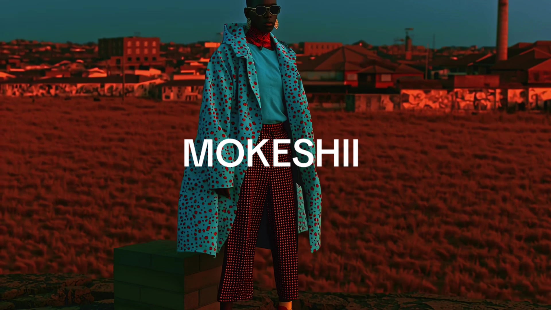 @MOKESHII
