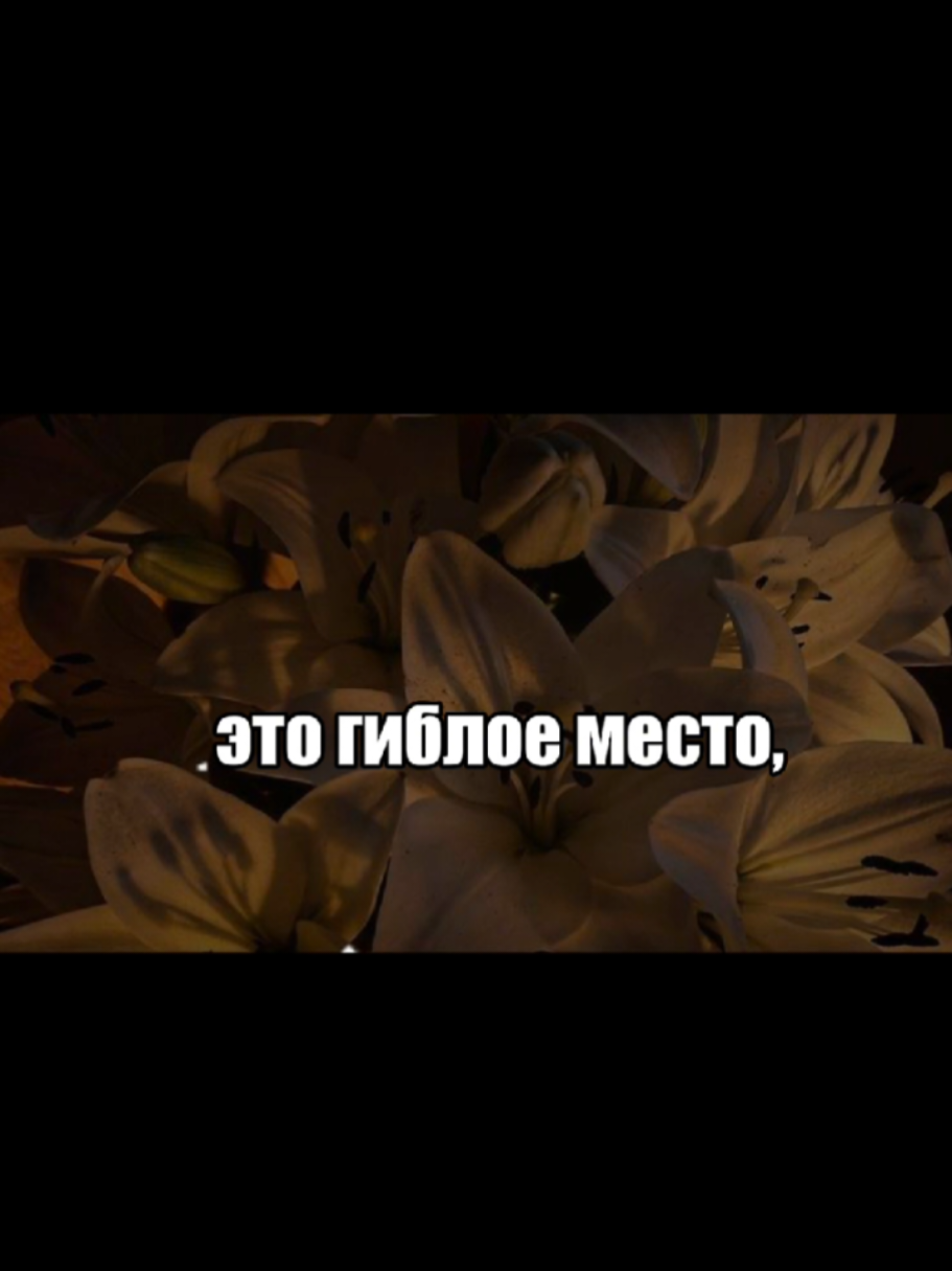 @mitkin