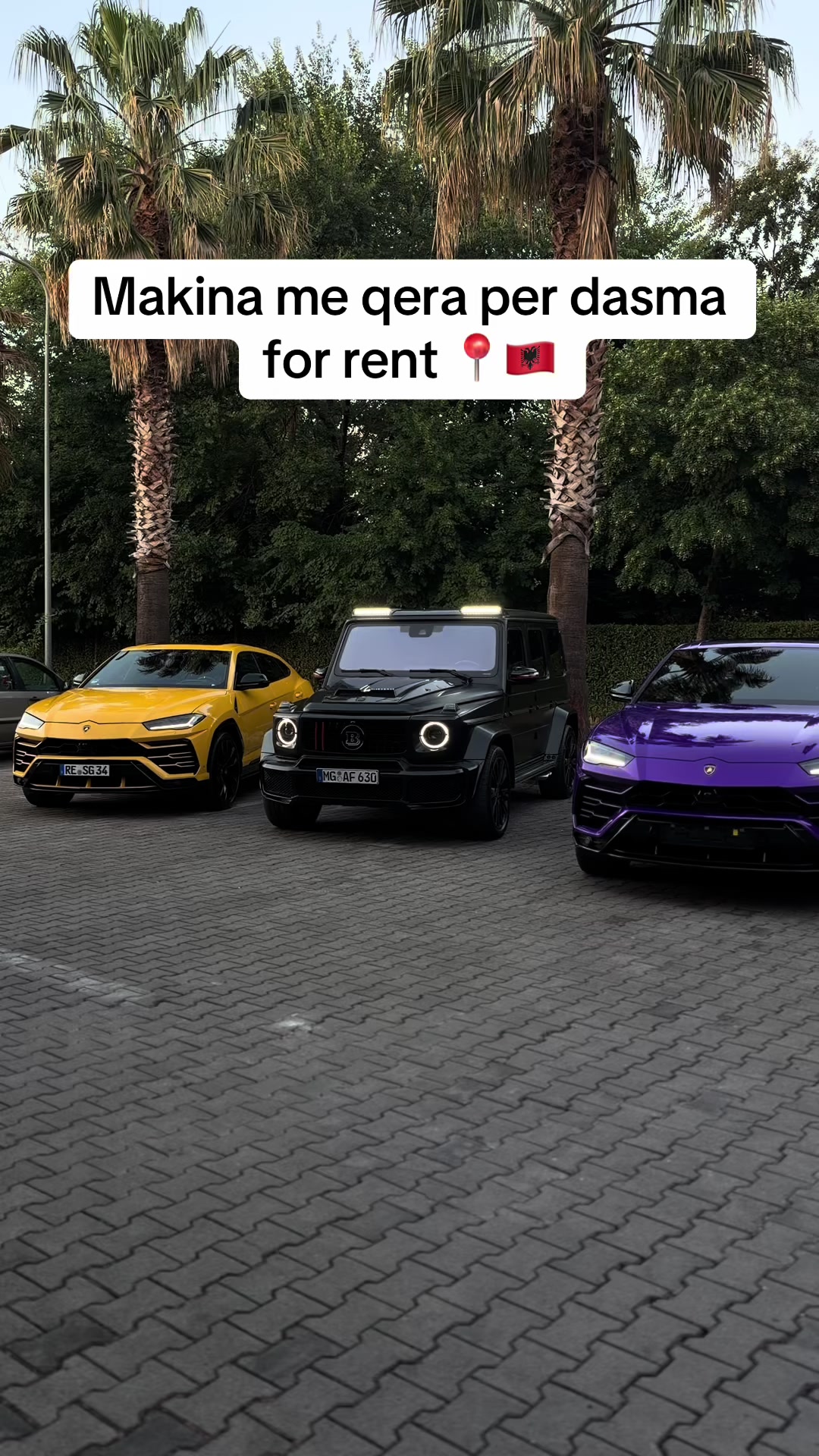 @rental.tirana.vip