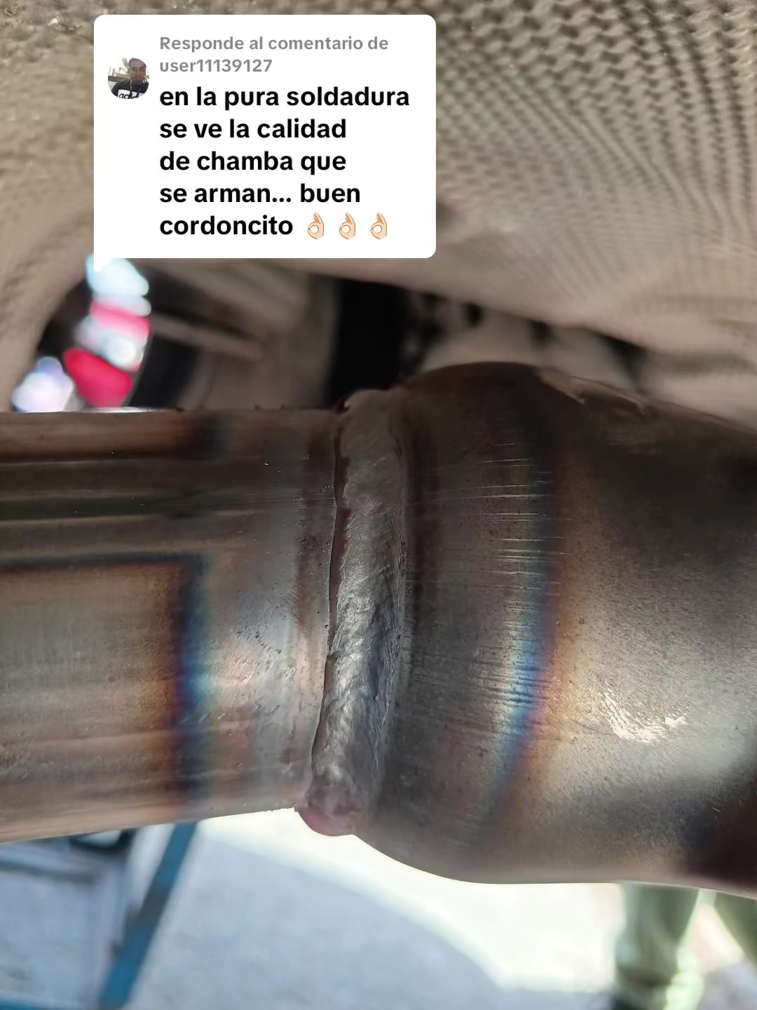 @Mofleselpedregal_1