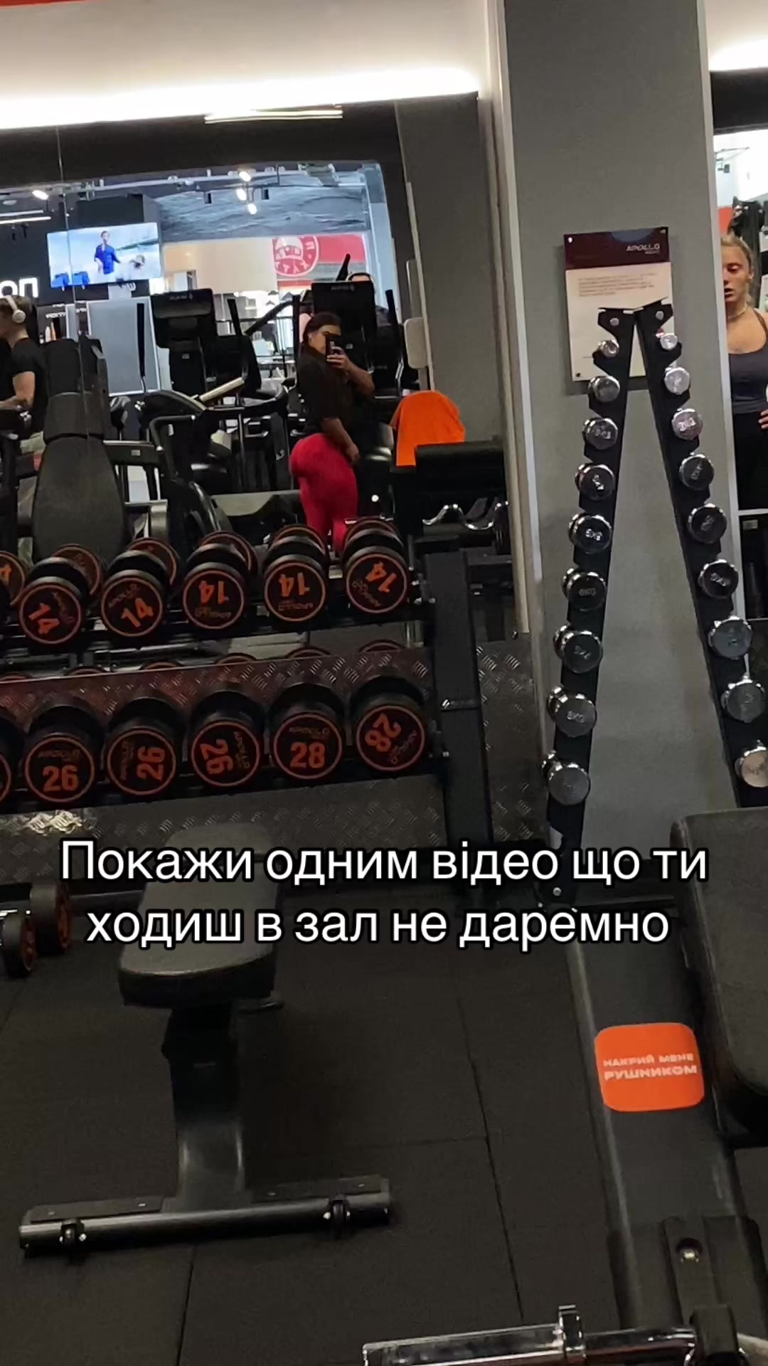 @dinavoloshchuk🦂