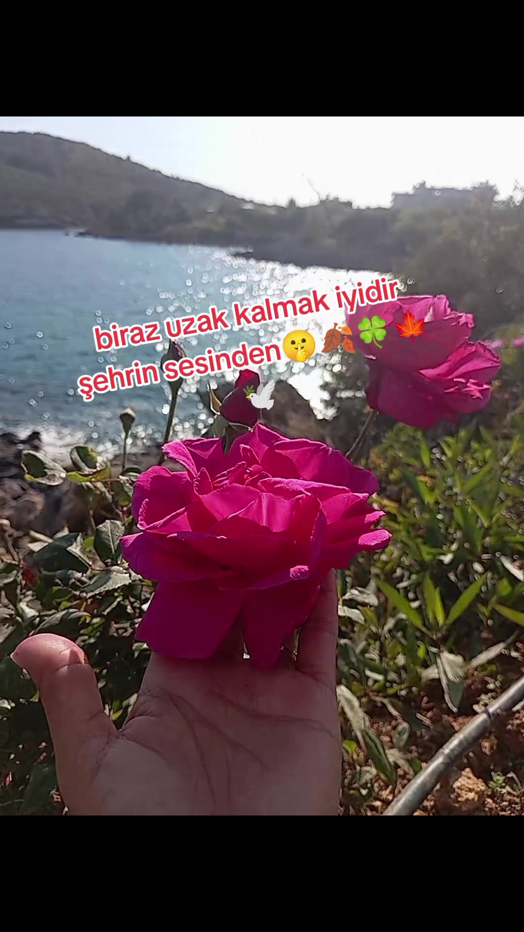 @Songül.ilkay33