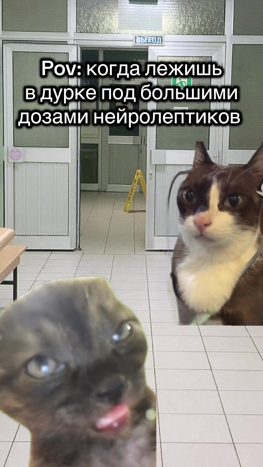 @_fima_is_not_here_