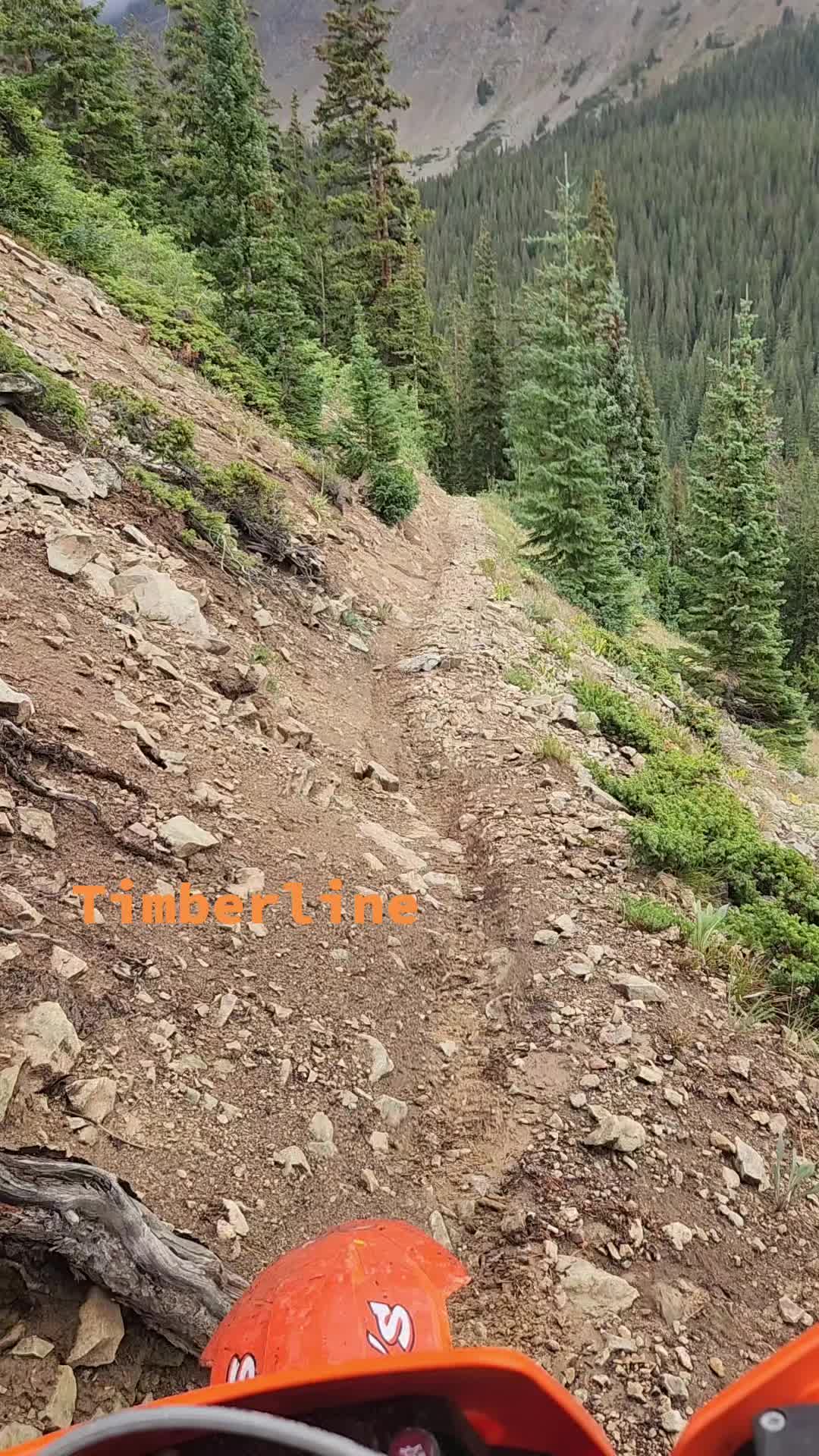 @Squirrel721