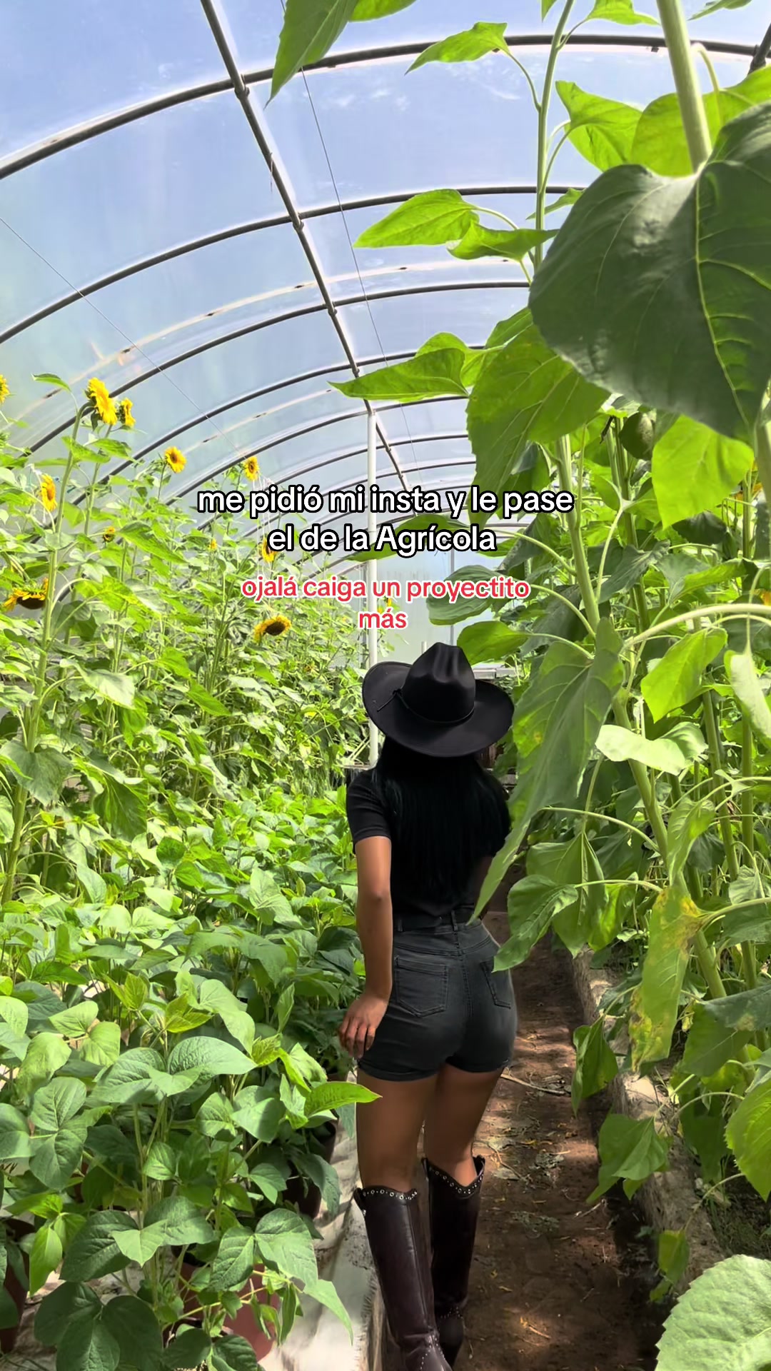 @Lachicadelagro_👩🌾🌱