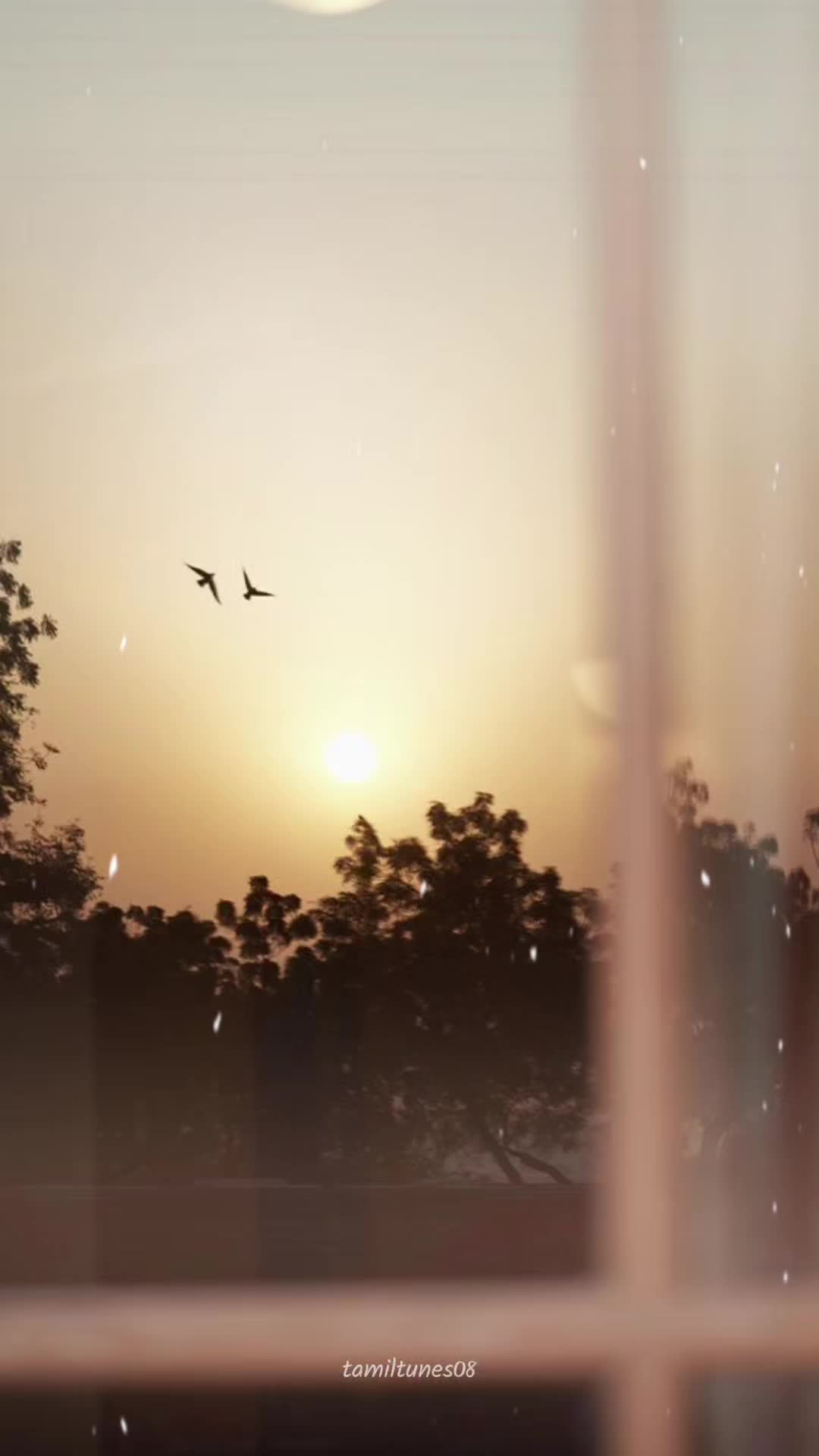 @Tamiltunes🎼