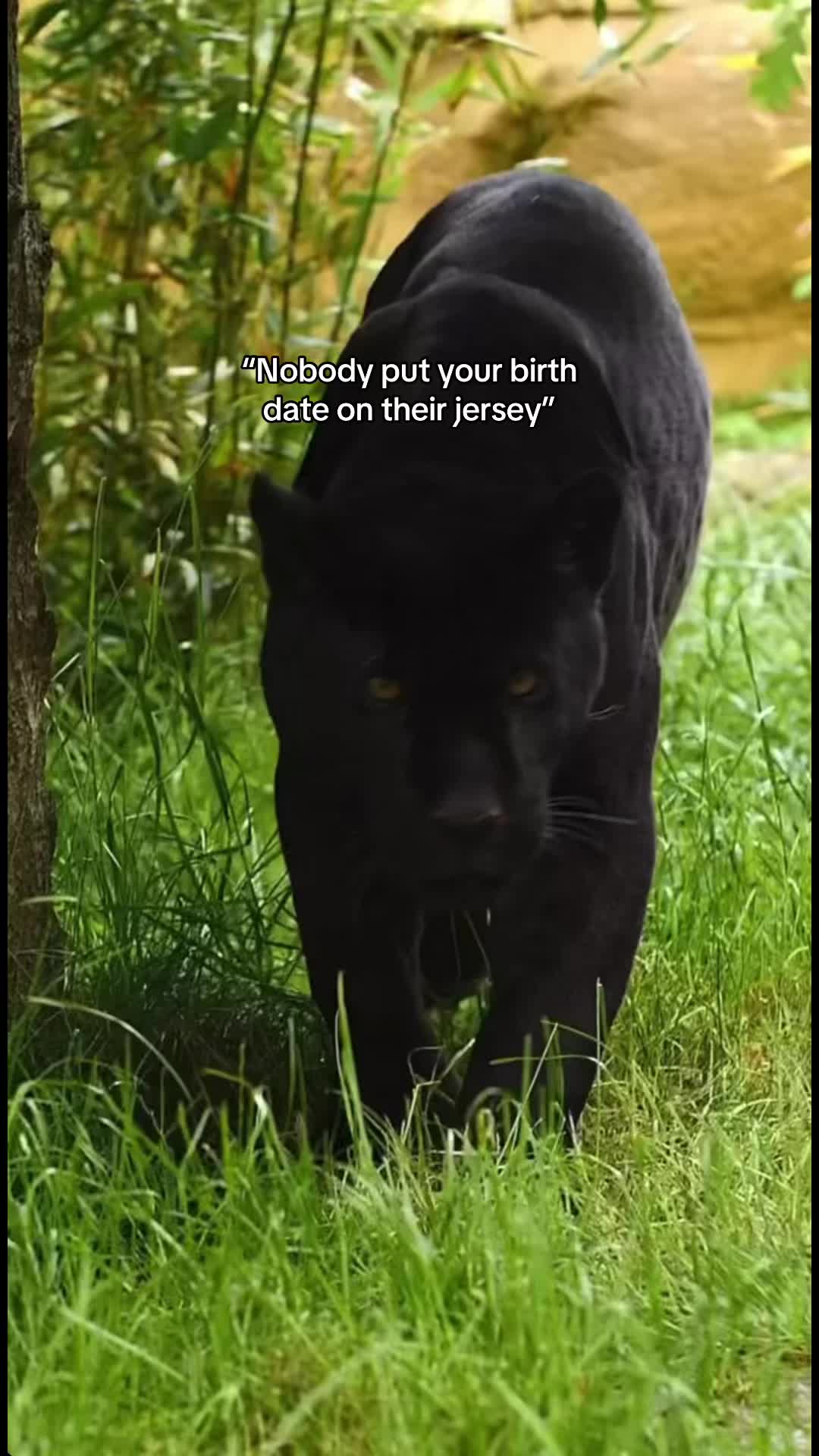@ᥫ᭡🅙🧸