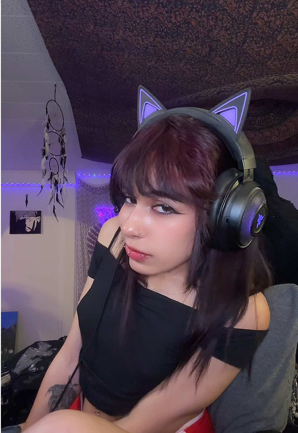 @⋆˙⟡✮ 𝑻𝒊𝒈𝒆𝒓 ✮⟡˙⋆