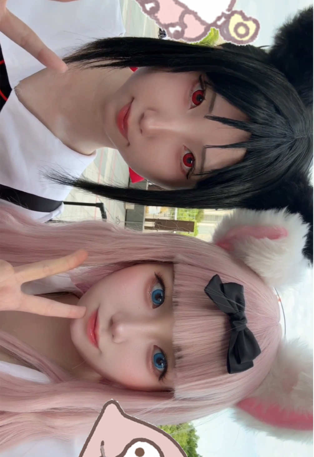 @ぽんぽち