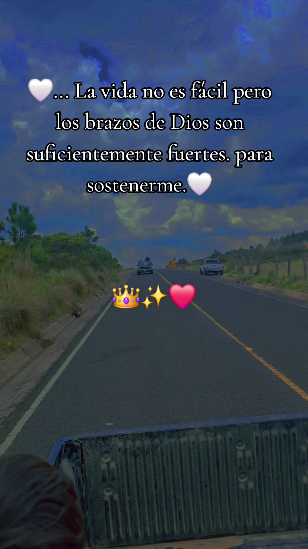 @alondra cuyuch