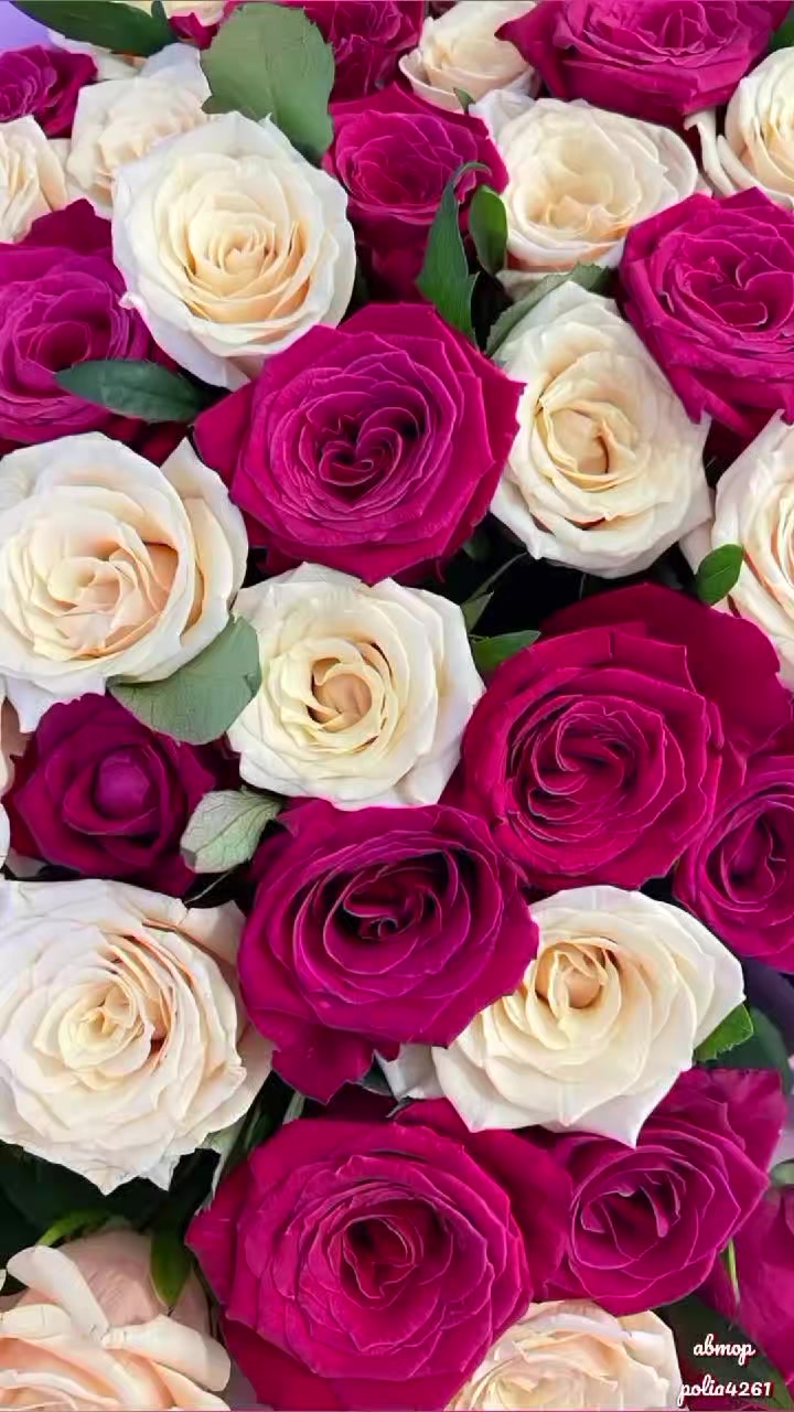 @Polia4261