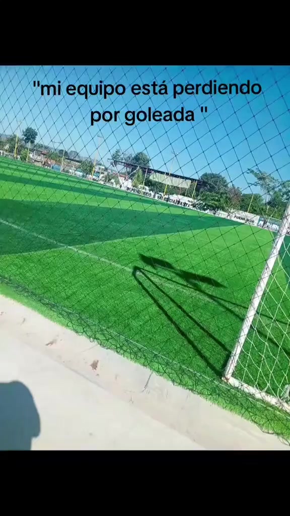 @Panchito Alvarado