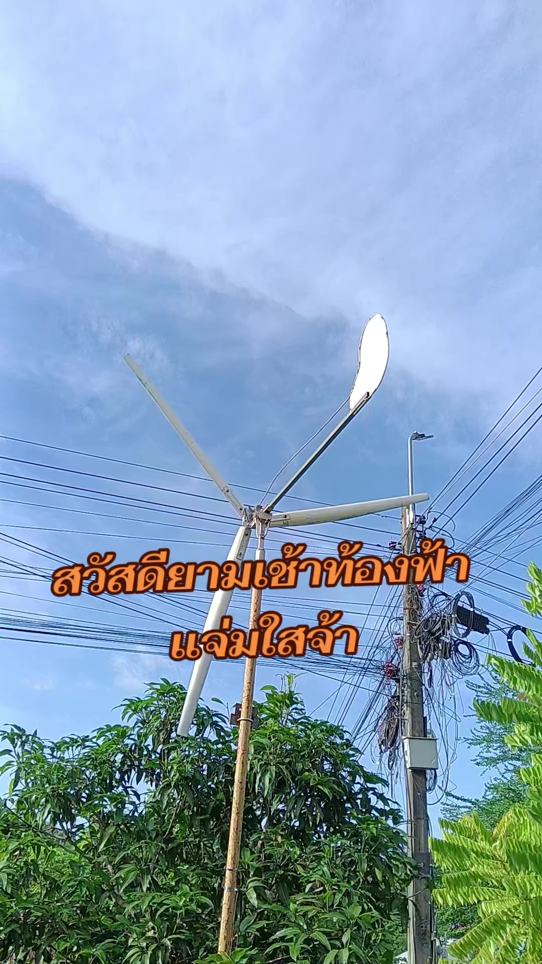 @pranee
