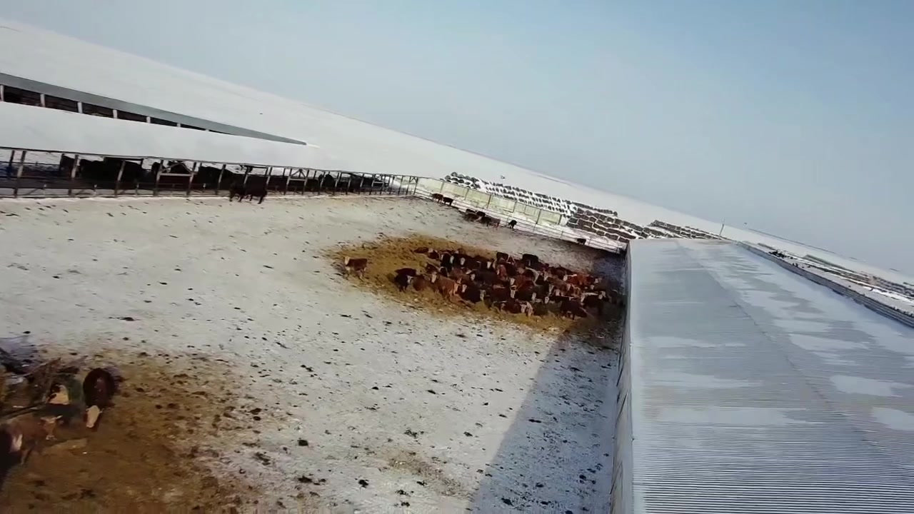 @Дмитрий