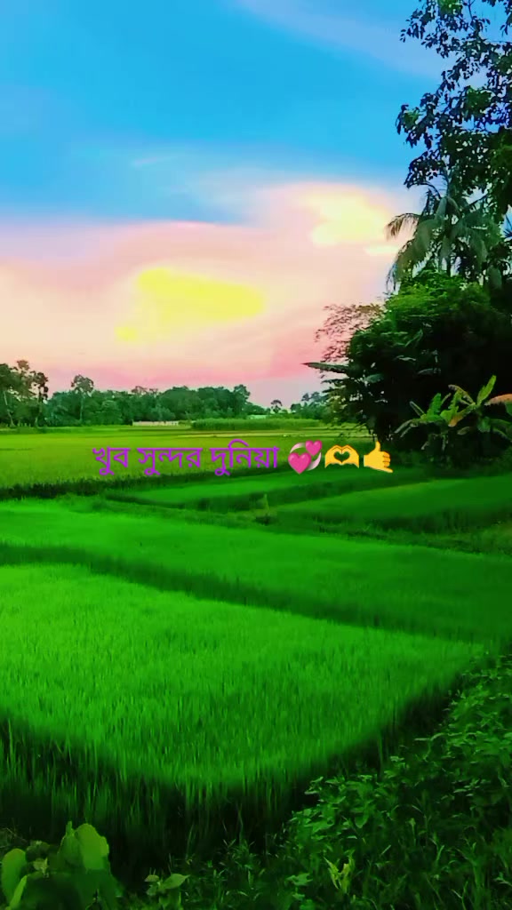 @mashod83